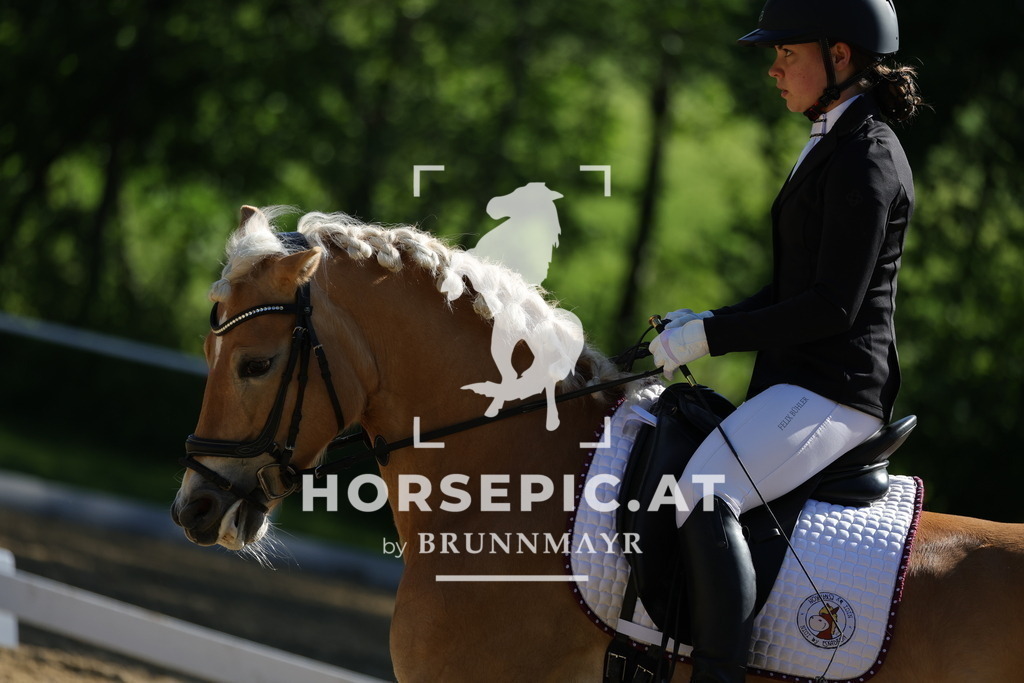 0P6A9736 | Willkommen bei Brunnmayr - Design & Fotografie – Ihrem Spezialisten für Reitturniere und Pferdeveranstaltungen in Oberösterreich, Salzburg und Bayern! Seit über 17 Jahren sind wir leidenschaftlich dabei.