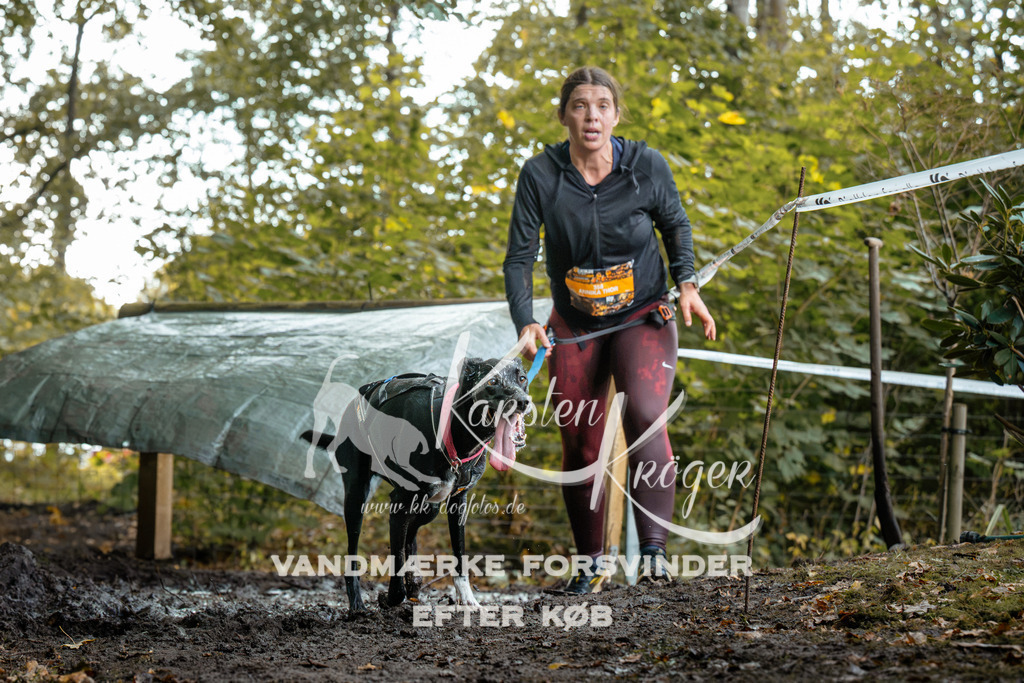 1410DZ6_1168Z6 | kk-dogfotos