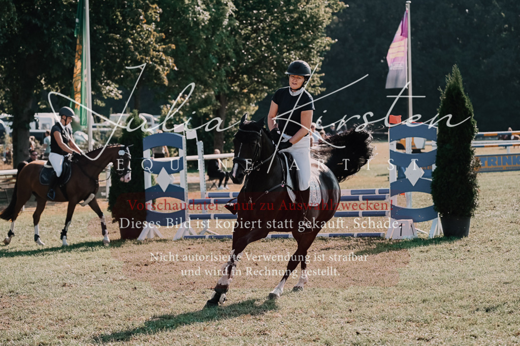 DSC_4719 | Pferde- und Turnierfotografie in Westsachsen. Pferdeportraits, Auftragszeichnungen und intuitive Kunst.