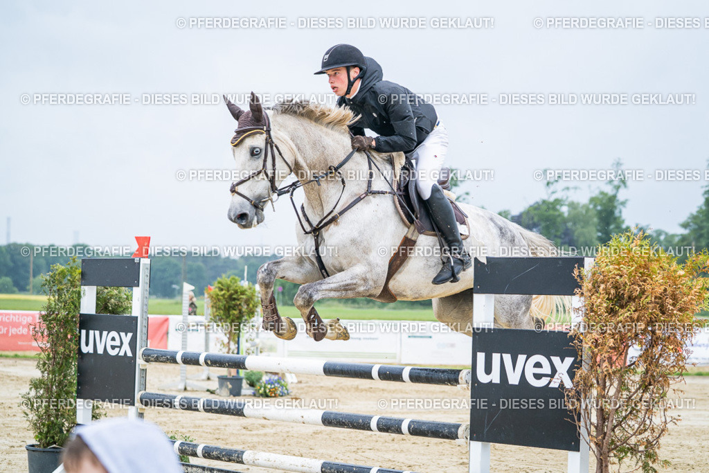 DSC01746 | Pferdegrafie