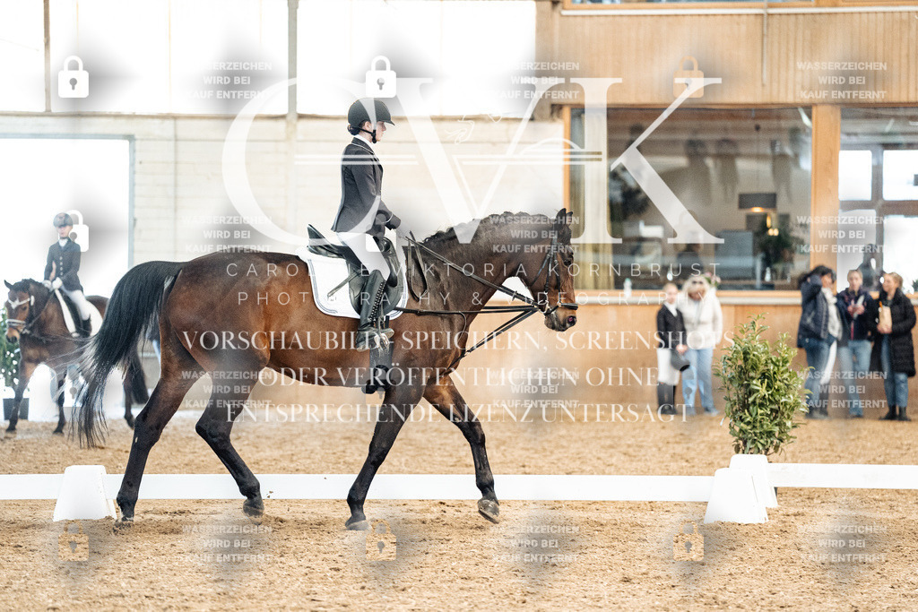 CK900173 | Turnierfotografie Pferdefotografie Trier Rheinland-Pfalz Pferdesport Reitsport Tierfotografie Sportfotografie Pferdevideo Pferdevideografie Equestrianvideography equestrianphotography  - Realisiert mit Pictrs.com