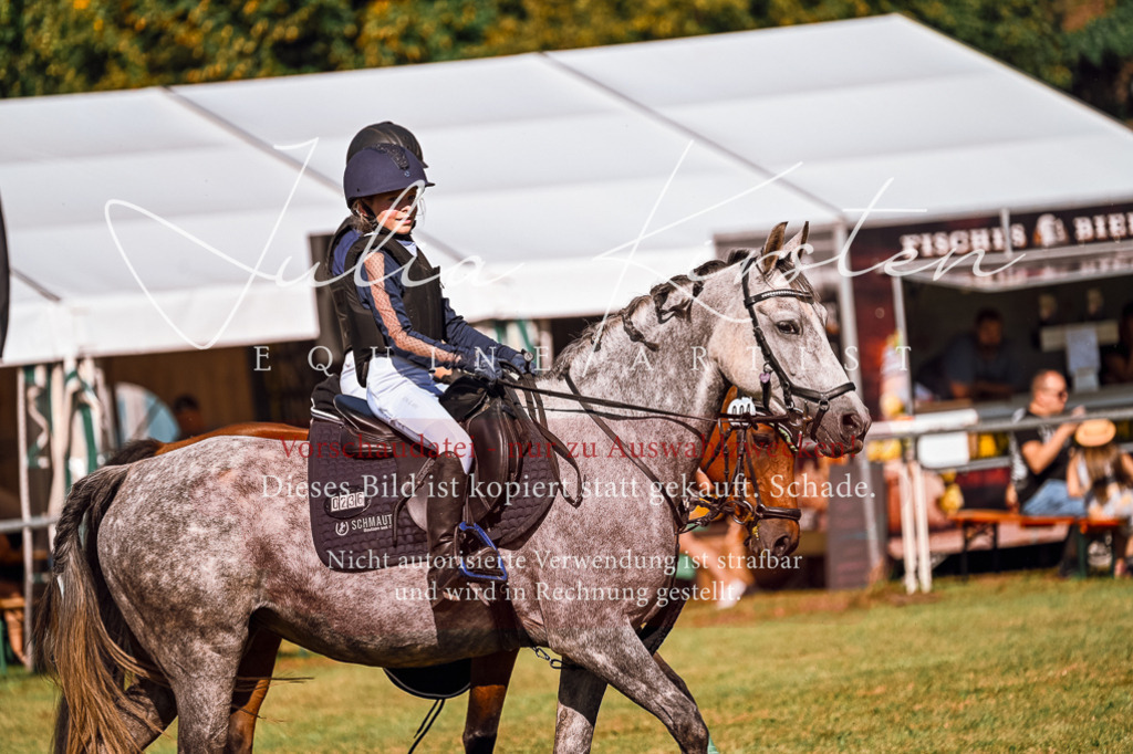 DSC_1205 | Pferde- und Turnierfotografie in Westsachsen. Pferdeportraits, Auftragszeichnungen und intuitive Kunst.