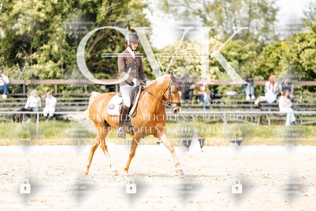 CK901382 | Turnierfotografie Pferdefotografie Trier Rheinland-Pfalz Pferdesport Reitsport Tierfotografie Sportfotografie Pferdevideo Pferdevideografie Equestrianvideography equestrianphotography  - Realisiert mit Pictrs.com