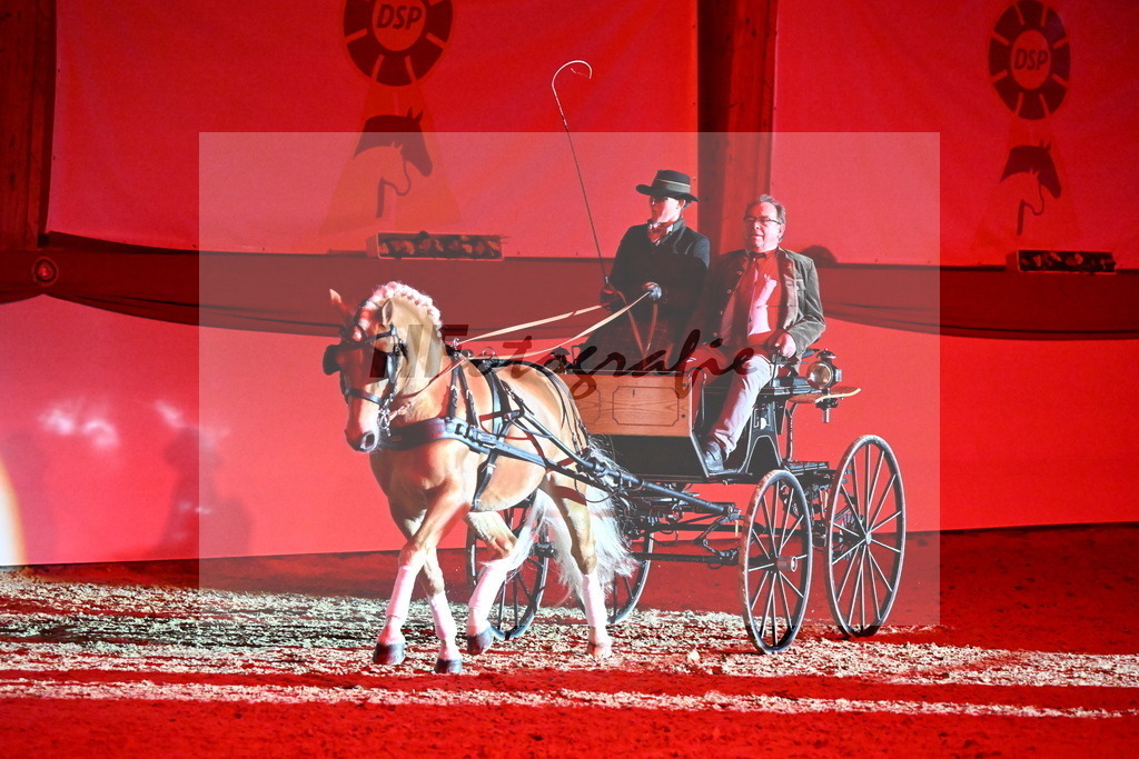 DSP Avici As_Karosser_Schwolow_2254851 | hf-fotografie - Realizzato con Pictrs.com