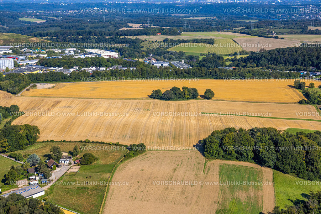 Velbert240812171 | Luftbild, landwirtschaftliche Fläche und kleine Baumgruppe, Wiesen und Felder an der Langenberger Straße, Velbert, Ruhrgebiet, Nordrhein-Westfalen, Deutschland