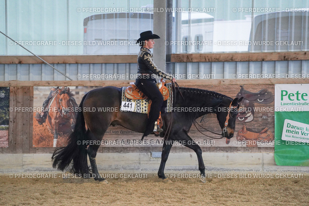 DSC09052 | Pferdegrafie