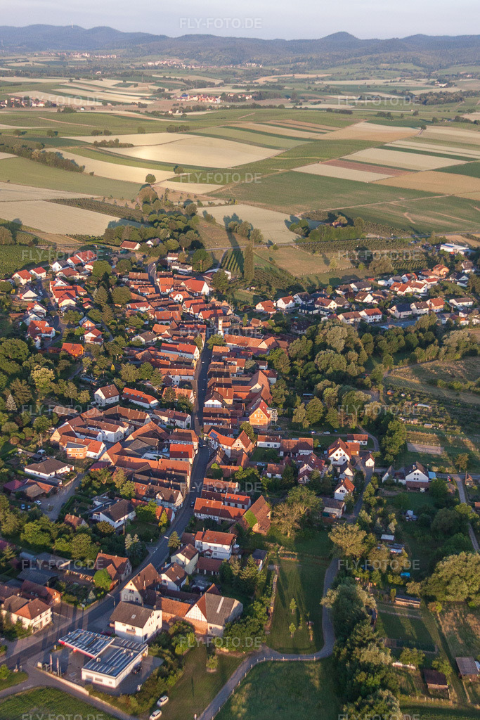 Luftbild: landwirtschaftlichen Feldern und Nutzflächen in Oberhausen im Bundesland Rheinland-Pfalz in Deutschland. Foto: IMG_67821.jpg vom 14.06.2014 durch Werner Riehm/FLY-FOTO.de