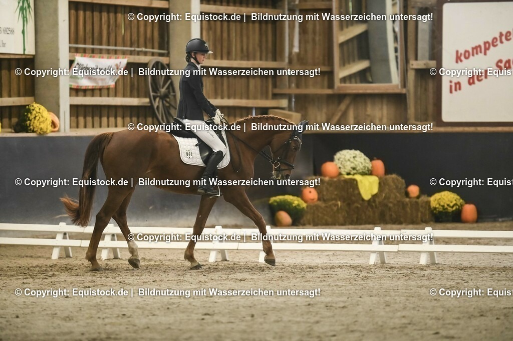 20231029_04_Dressur-WB_0093 | Foto: Thomas Hartig