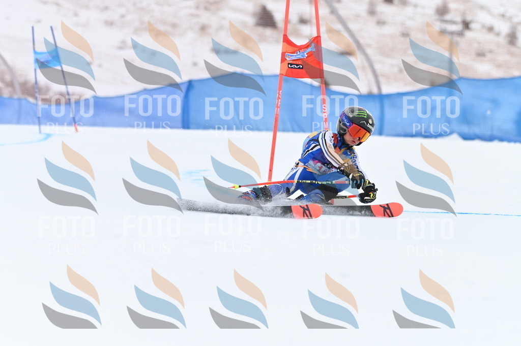 BGV_0011 | holidayphoto