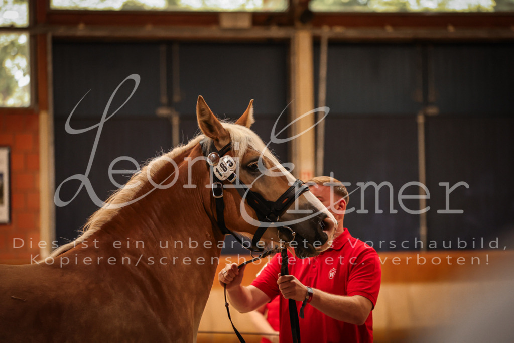 SaFL00119 | Leoni Ertmer Photography - Realisiert mit Pictrs.com