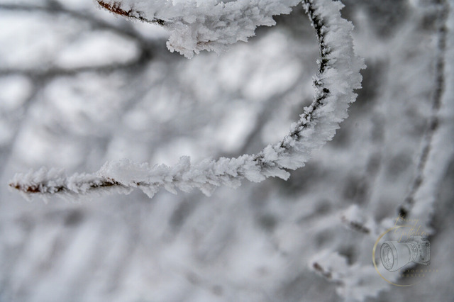 _DSC2005 | Shop für Prints Landschaftsfotografie Sächsische Schweiz Naturfotografie in Thüringen Fotos vom Findlingspark Nochten Kloster Sankt Marienstern Bilder Festung Königstein PanoramaRhododendronpark Kromlau FotogalerSchleswig-Holstein Küstenlandschaften