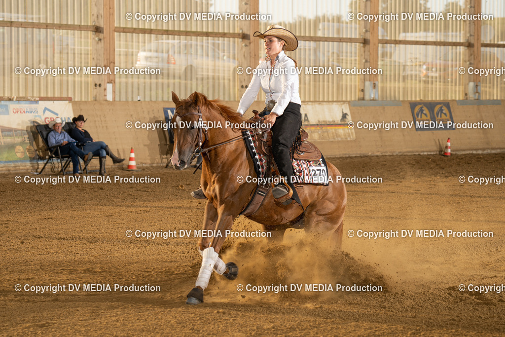 LAU01986 | dv-media-shop - Realisiert mit Pictrs.com