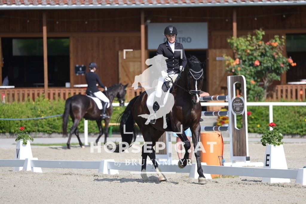 0P6A4594 | Willkommen bei Brunnmayr - Design & Fotografie – Ihrem Spezialisten für Reitturniere und Pferdeveranstaltungen in Oberösterreich, Salzburg und Bayern! Seit über 17 Jahren sind wir leidenschaftlich dabei.