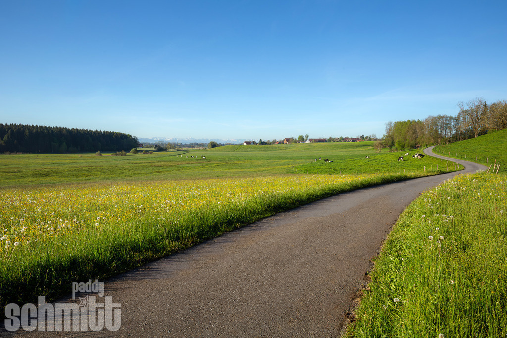 PS-Wege-2026-20 | Entdecke die größte Bildgalerie der Region mit Fotografien aus dem Allgäu, der Bodenseeregion, Oberschwaben, dem Donautal und der Schwäbischen Alb. Landschaften, Luftaufnahmen und Reisefotografie als Wandbild und Fotokunst. - Realisiert mit Pictrs.com
