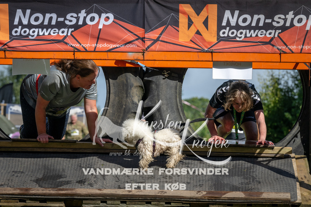 1105_ZZ91861 | kk-dogfotos