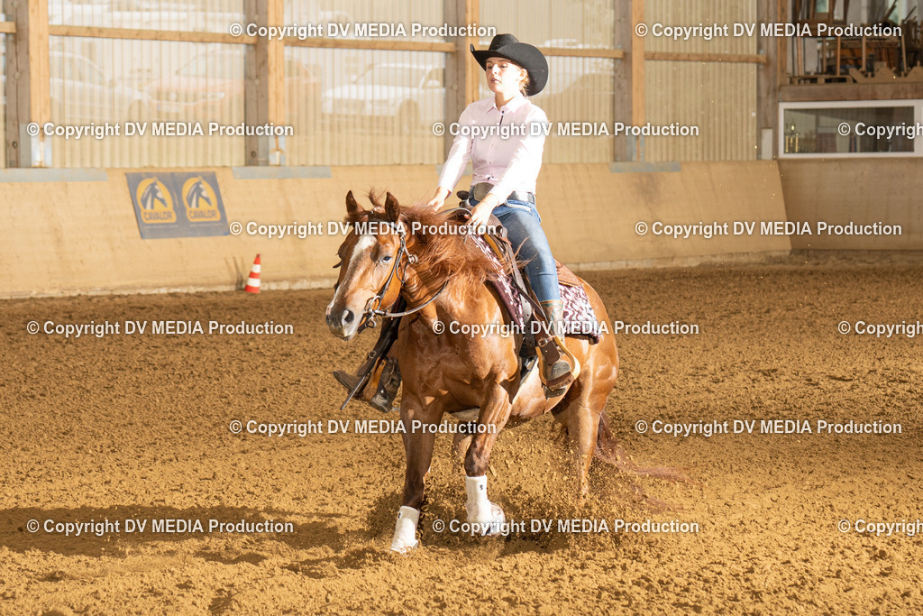 LAU00625 | dv-media-shop - Realisiert mit Pictrs.com