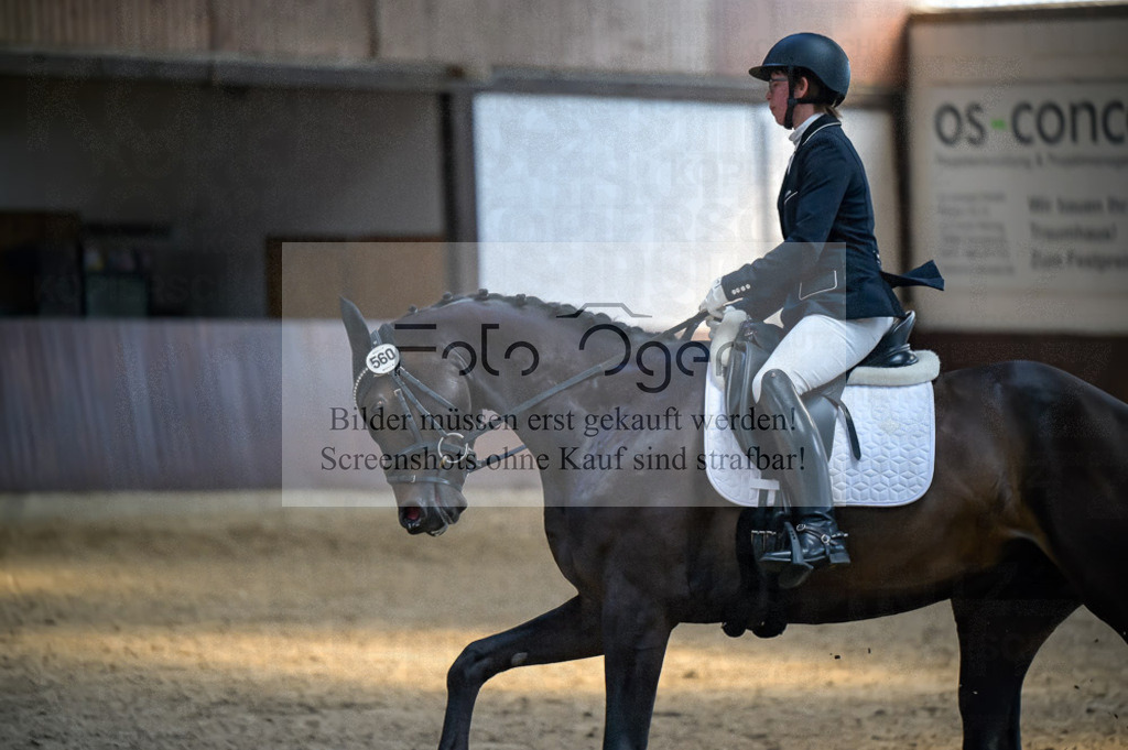 Reitturnier Voxtrup | Entdecke hochwertige Reitturnierfotos von Foto Oger. Professionell, emotional und authentisch – jetzt Lieblingsmomente im Shop bestellen.Deutschlandweite Turnierfotografie. - Realisiert mit Pictrs.com