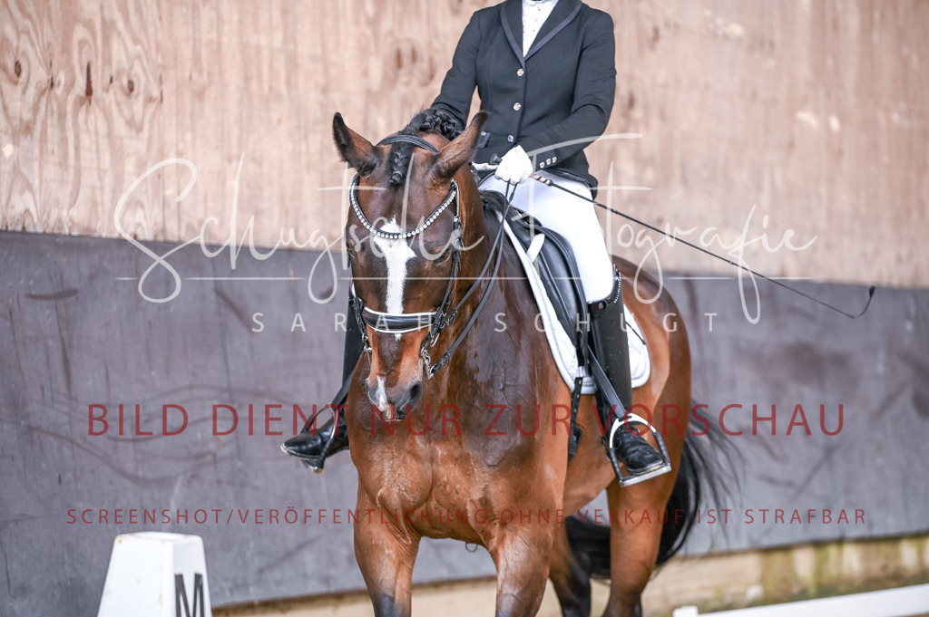 Schugtsche-Aluta25-56.Dressurprf.L1Kand.-87 | Schugtsche Fotografie - Realisiert mit Pictrs.com