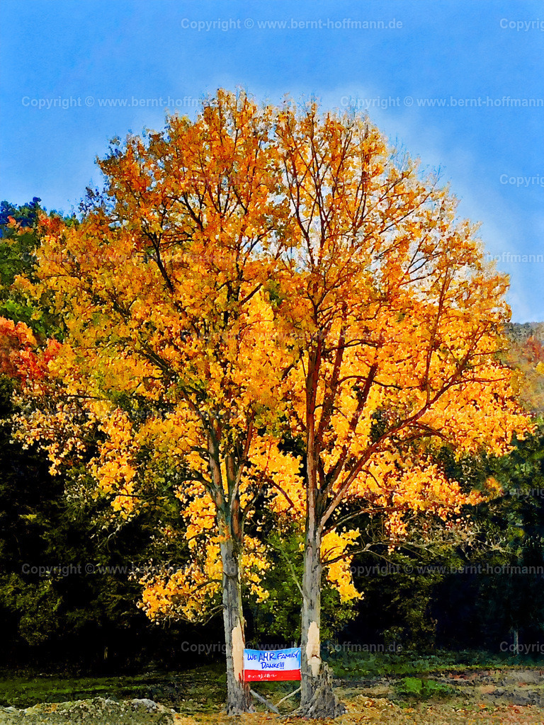 PAD2_MW_Baumduo_sig_150x200 | DIGITALKUNST. Baumduo - im Ahrtal. __ Diese Bilddatei ist optimiert für Drucke _AB Format 75 x 100 cm. __ Das Basisfoto für dieses malerisch verwandelte Werk hat Markus Wipperfürth im Herbst 2021 gemacht und es Bernt Hoffmann für diese künstlerische Verwandlung zur Verfügung gestellt. __ Bernt Hoffmann wird einen Großteil aller erzielbaren Erlöse für die Baumpflanz-Aktionen der Vereinigung «ROBIN GUT» spenden.  - Realisiert mit Pictrs.com