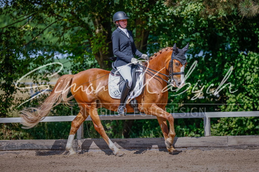 20250621-_3LI9440 | Tierfotografie Pferde, Hunde, Katzen, Haustiere.
Turnierfotografie Reitturniere, Reiten, Springreiten, Dressur in Hanau, dem Main-Kinzig-Kreis und dem Rhein-Main- Gebiet um Frankfurt