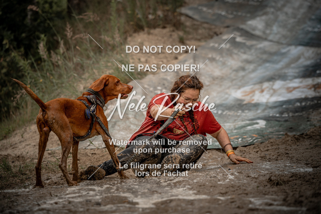 nelerasche_sa1100-1200_475 | nelerasche