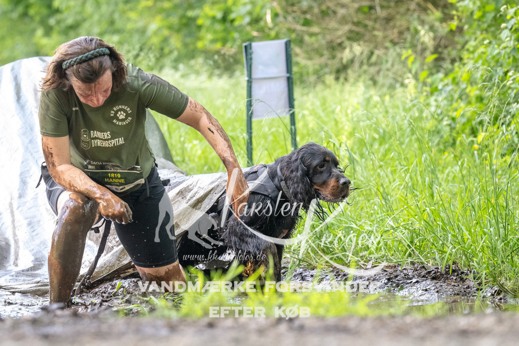 1205_ZZ91323 | kk-dogfotos