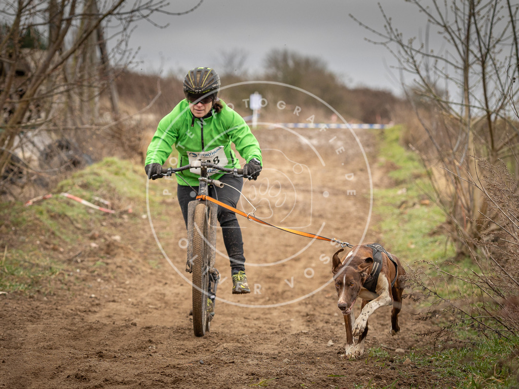 DV3A1491 | Hundefotografie, Tierfotograf, Pfotenfotografie, Fotoshooting Hund, Hunde Portrait, Hundesport, Hundeportraits, Heideshooting, Hunde, Sportfotograf, Hundefotograf, Turnierhundsport, THS,  - Realisiert mit Pictrs.com