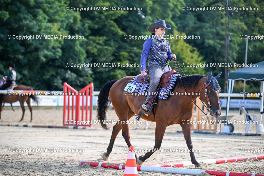 ZS2_3438 | dv-media-shop - Realisiert mit Pictrs.com