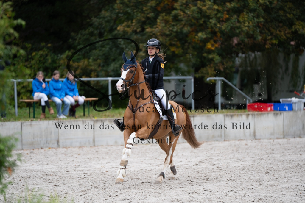 A7V08156 | Pferdefotograf