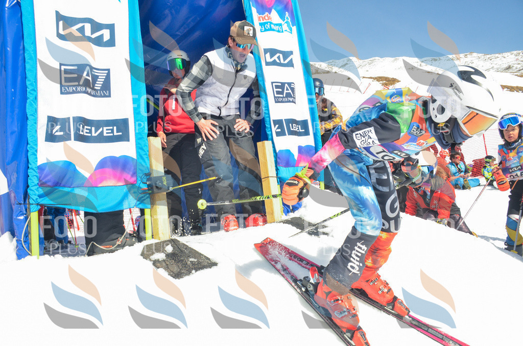 _ELE5881 | holidayphoto