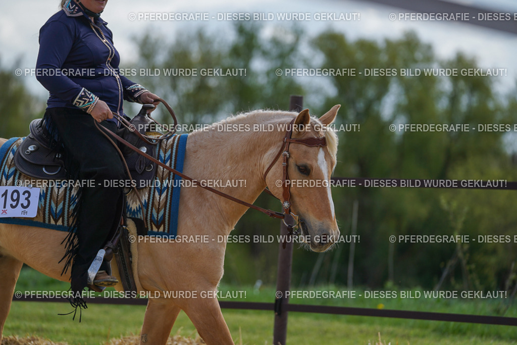 DSC05080 | Pferdegrafie