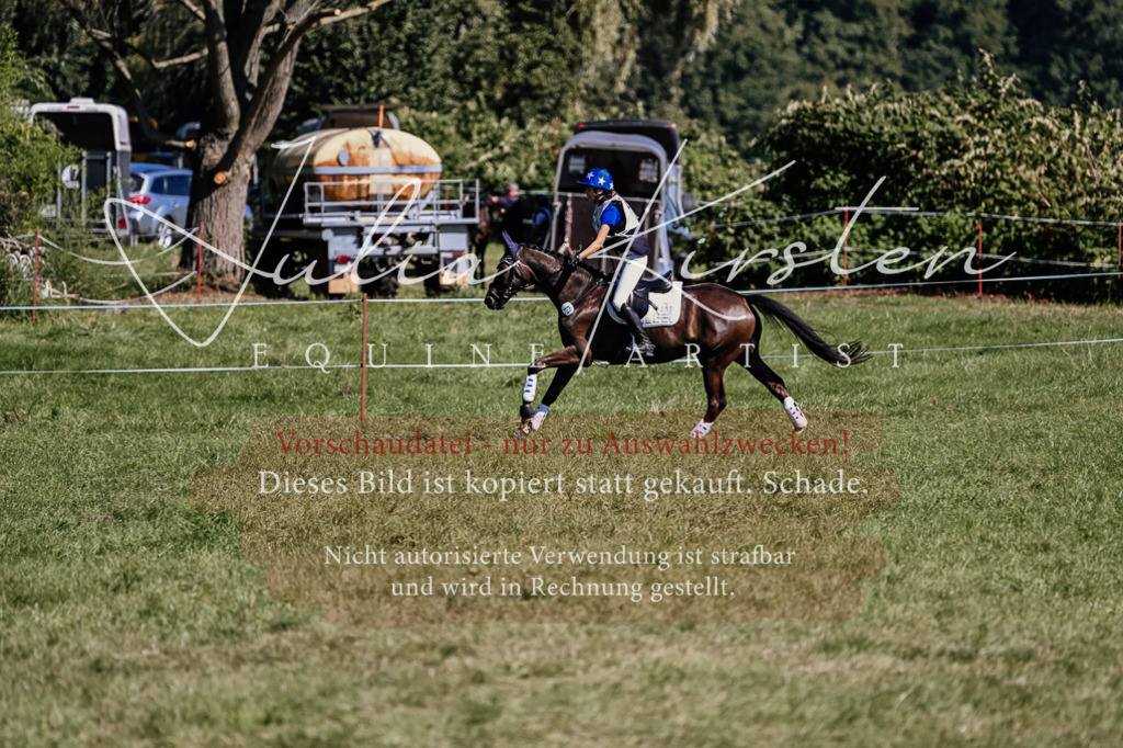 DSC_1676 | Pferde- und Turnierfotografie in Westsachsen. Pferdeportraits, Auftragszeichnungen und intuitive Kunst.