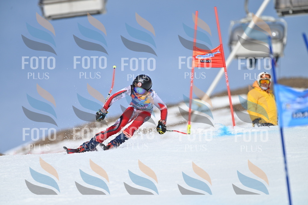 BGV_1063 | holidayphoto