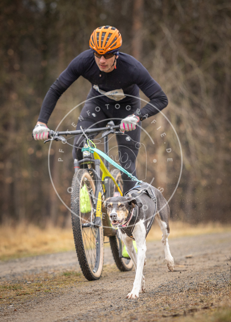 DV3A3191 | Hundefotografie, Tierfotograf, Pfotenfotografie, Fotoshooting Hund, Hunde Portrait, Hundesport, Hundeportraits, Heideshooting, Hunde, Sportfotograf, Hundefotograf, Turnierhundsport, THS,  - Realisiert mit Pictrs.com