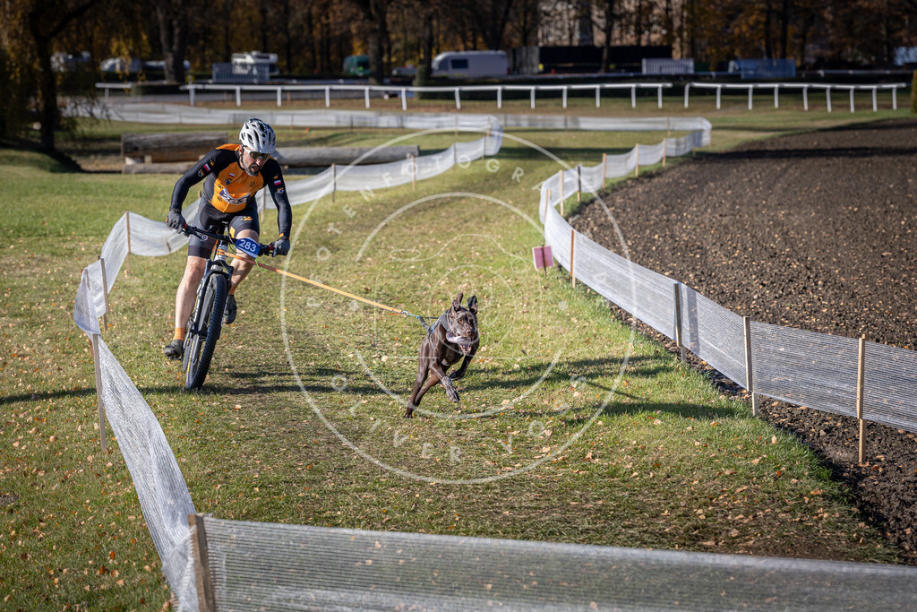 CaniXpix_DV3A5593 | Hundefotografie, Tierfotograf, Pfotenfotografie, Fotoshooting Hund, Hunde Portrait, Hundesport, Hundeportraits, Heideshooting, Hunde, Sportfotograf, Hundefotograf, Turnierhundsport, THS,  - Realisiert mit Pictrs.com