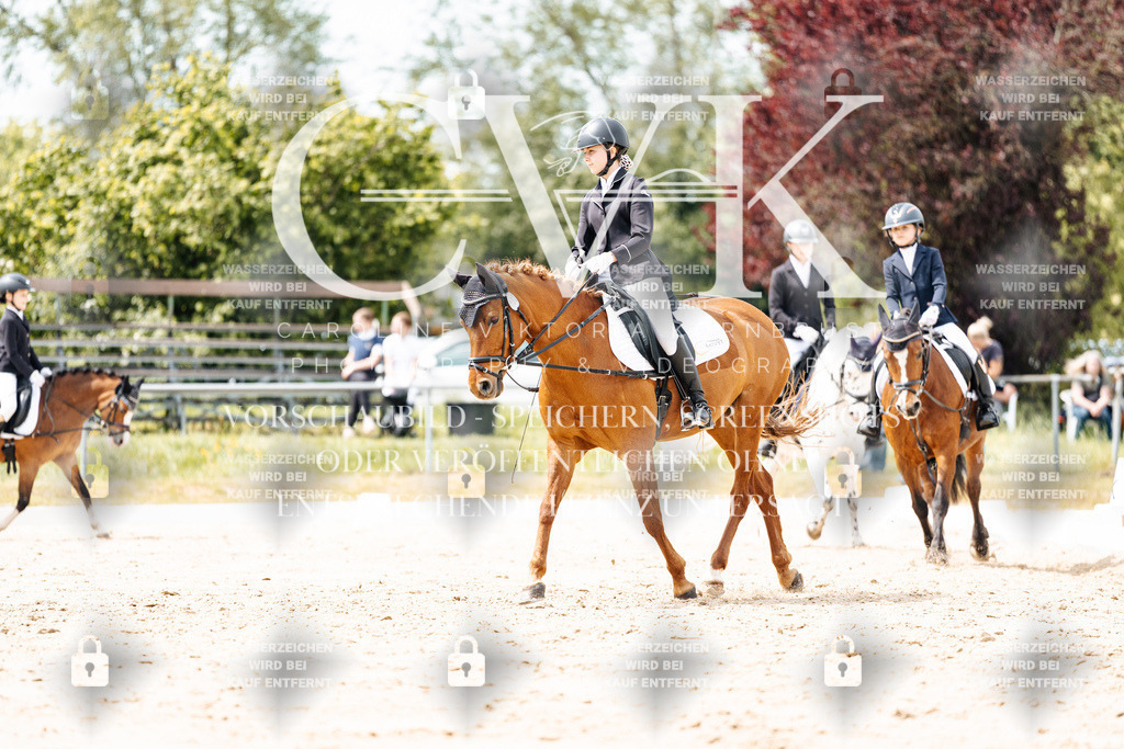 CK902294 | Turnierfotografie Pferdefotografie Trier Rheinland-Pfalz Pferdesport Reitsport Tierfotografie Sportfotografie Pferdevideo Pferdevideografie Equestrianvideography equestrianphotography  - Realisiert mit Pictrs.com