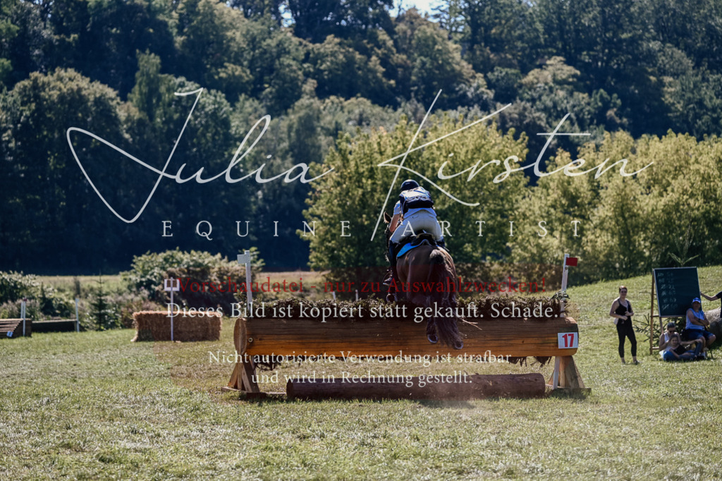 DSC_2114 | Pferde- und Turnierfotografie in Westsachsen. Pferdeportraits, Auftragszeichnungen und intuitive Kunst.