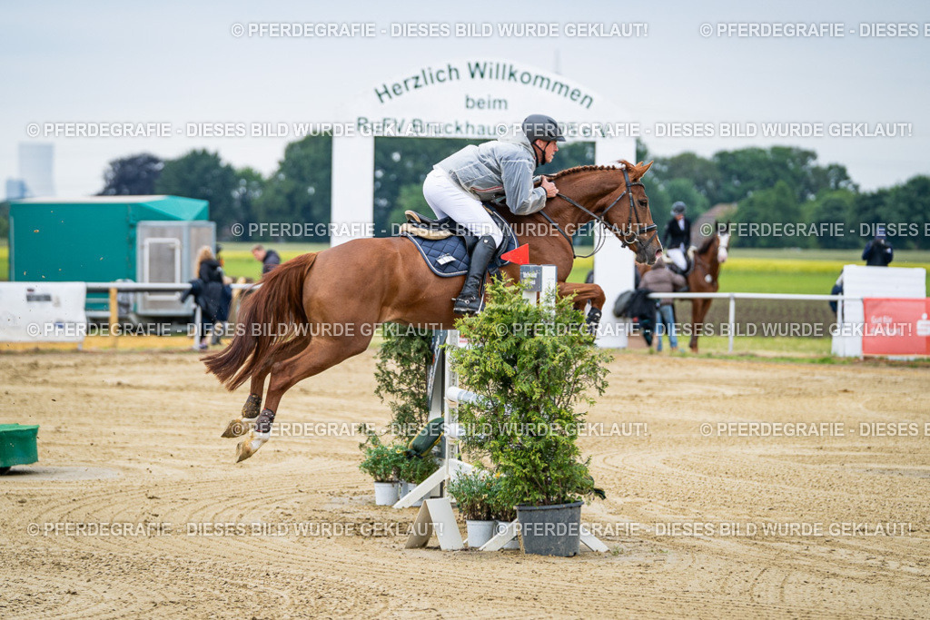 DSC05390 | Pferdegrafie