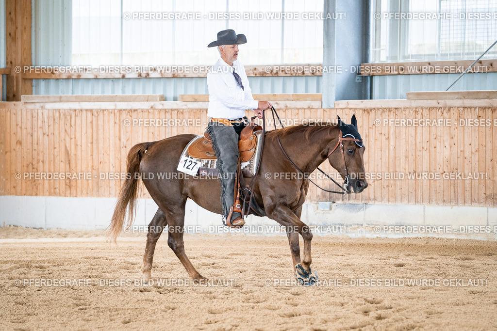 DSC02217 | Pferdegrafie