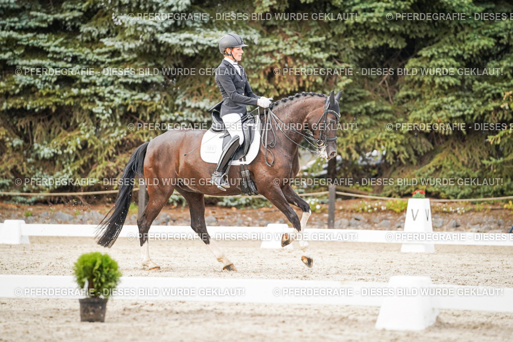 DSC08979 | Pferdegrafie