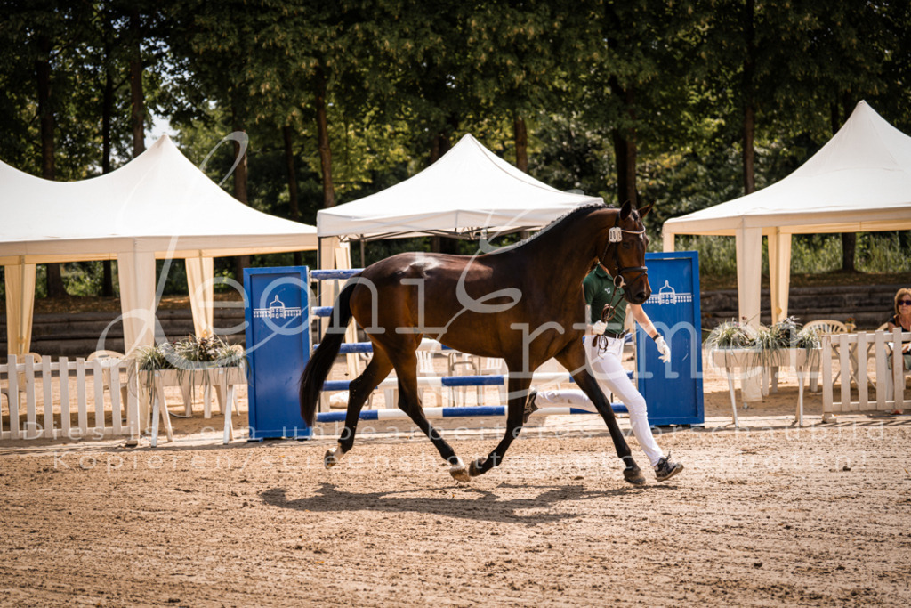 1.Fr00129 | Leoni Ertmer Photography - Realisiert mit Pictrs.com