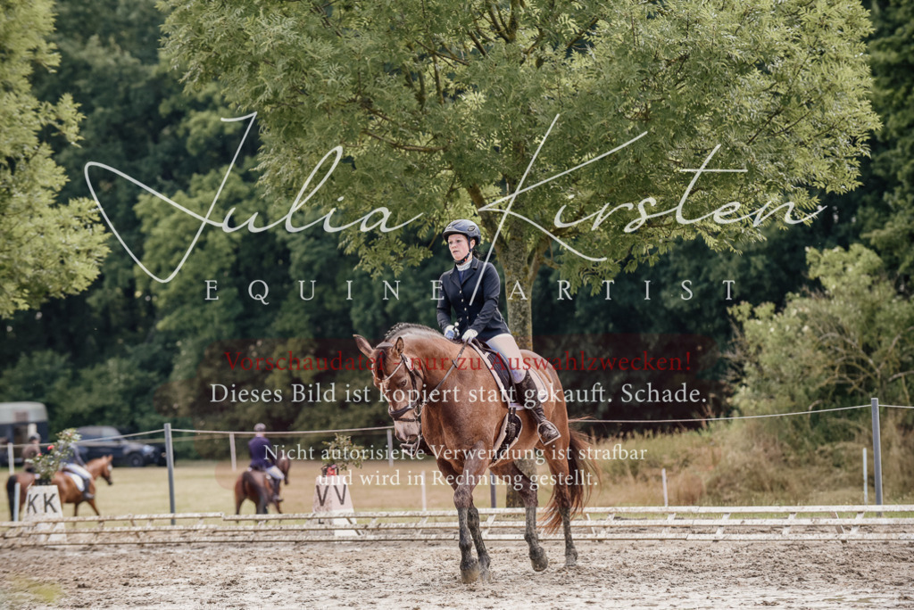 DSC_9269 | Pferde- und Turnierfotografie in Westsachsen. Pferdeportraits, Auftragszeichnungen und intuitive Kunst.