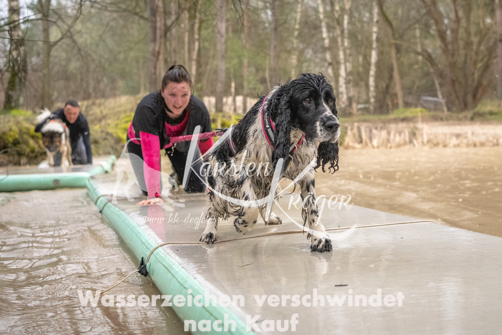 1056_ZZ93767-Bearbeitet | kk-dogfotos