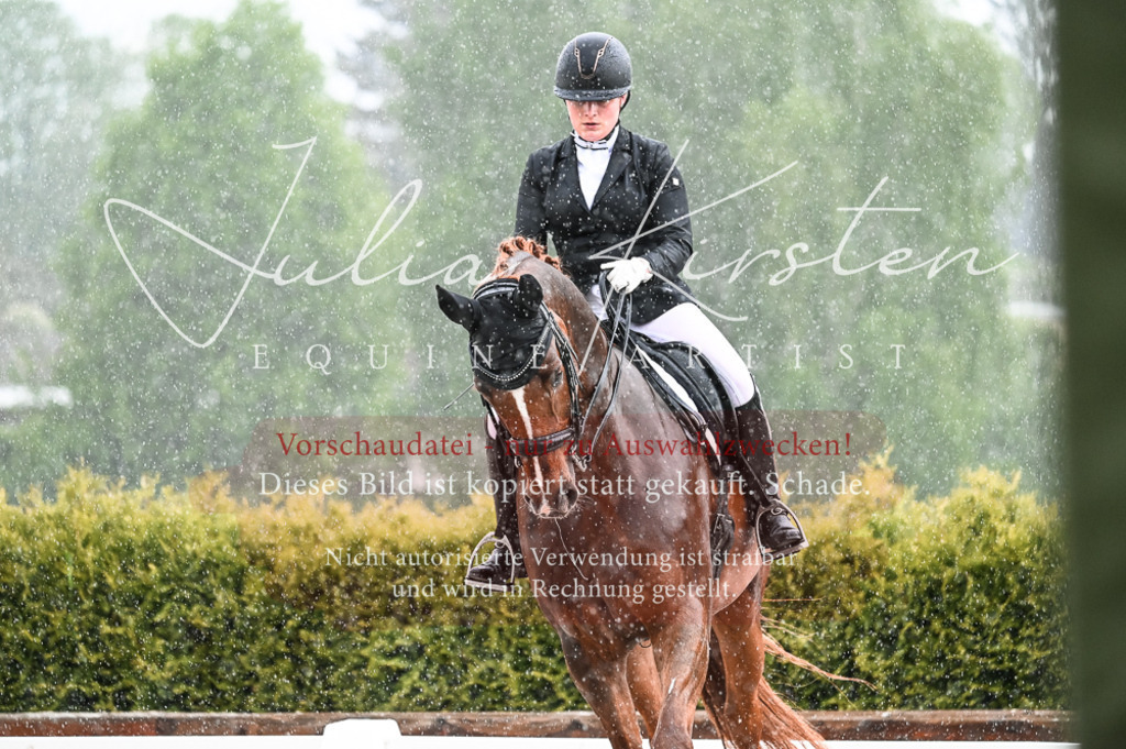 DSC_4103 | Pferde- und Turnierfotografie in Westsachsen. Pferdeportraits, Auftragszeichnungen und intuitive Kunst.