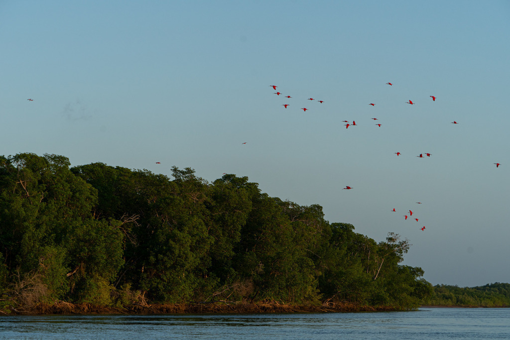 20251114-DeltaTour-0021 | paulependelt - Realisiert mit Pictrs.com