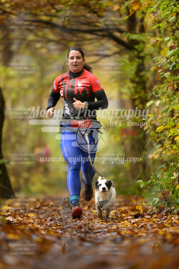 MompixPhotography_CD7S_DI_CCL-175 | mompixphotography