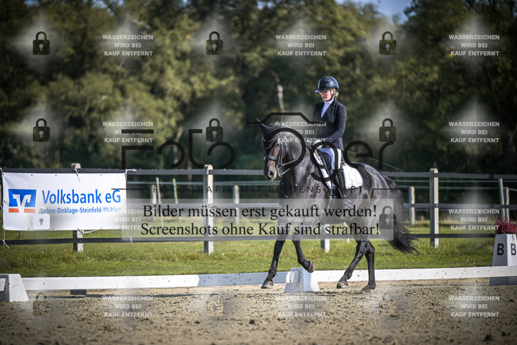 DOS_1681 | Entdecke hochwertige Reitturnierfotos von Foto Oger. Professionell, emotional und authentisch – jetzt Lieblingsmomente im Shop bestellen.Deutschlandweite Turnierfotografie. - Realisiert mit Pictrs.com