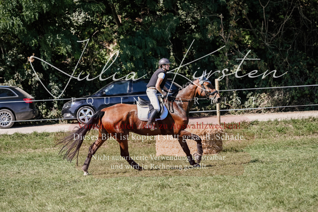 DSC_2699 | Pferde- und Turnierfotografie in Westsachsen. Pferdeportraits, Auftragszeichnungen und intuitive Kunst.