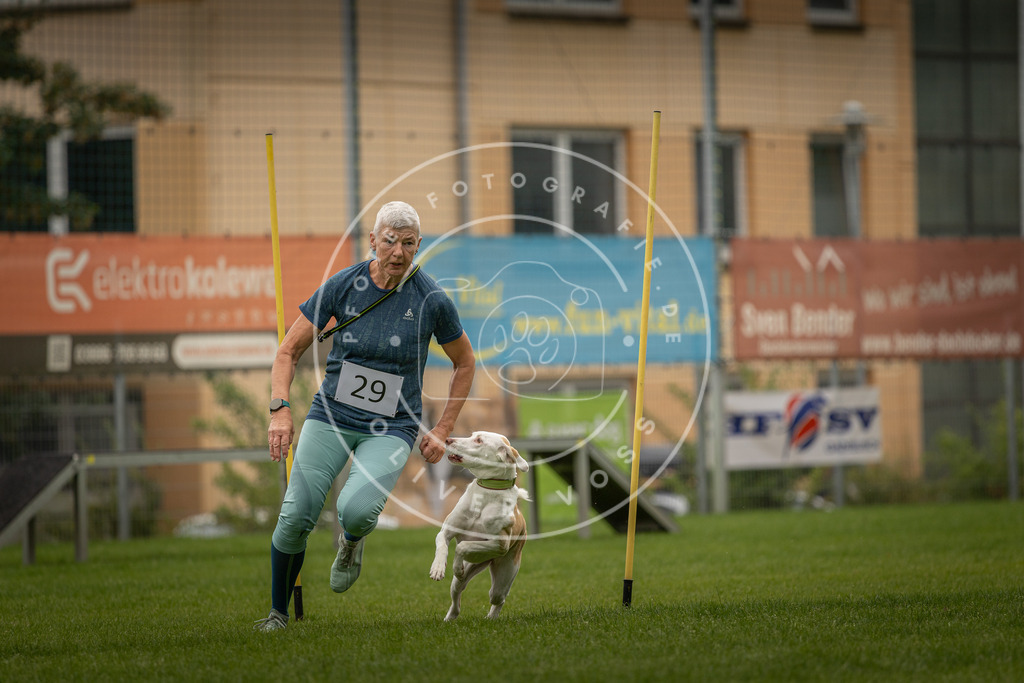 Pfotenfotografie_DV3A8267 | Hundefotografie, Tierfotograf, Pfotenfotografie, Fotoshooting Hund, Hunde Portrait, Hundesport, Hundeportraits, Heideshooting, Hunde, Sportfotograf, Hundefotograf, Turnierhundsport, THS,  - Realisiert mit Pictrs.com