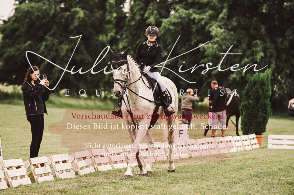 DSC_4986 | Pferde- und Turnierfotografie in Westsachsen. Pferdeportraits, Auftragszeichnungen und intuitive Kunst.